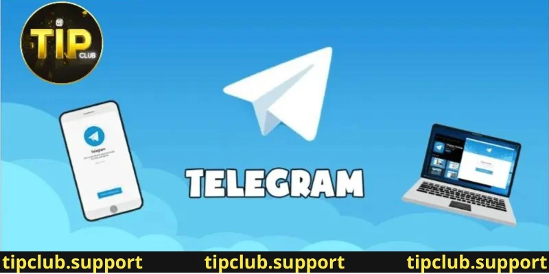 Nội Dung Chính Trên Kênh Hỗ Trợ Telegram Tip Club