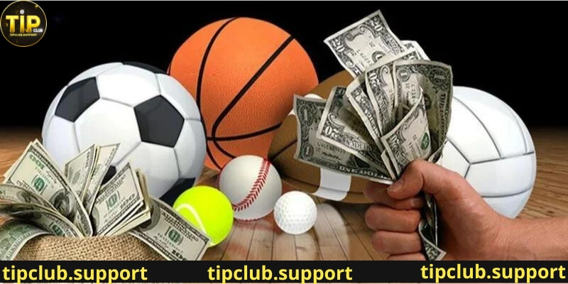 Thể loại cá cược Tip club phổ biến trong bóng đá